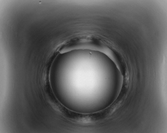 X0000086260600200704051304