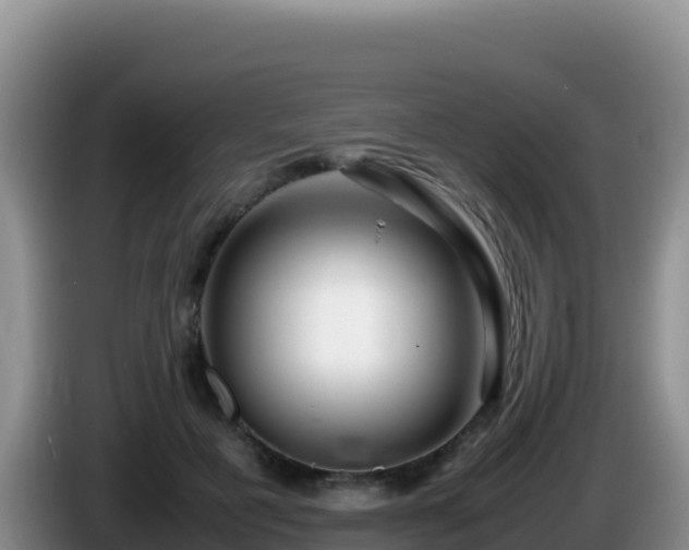 X0000086260601200704051304