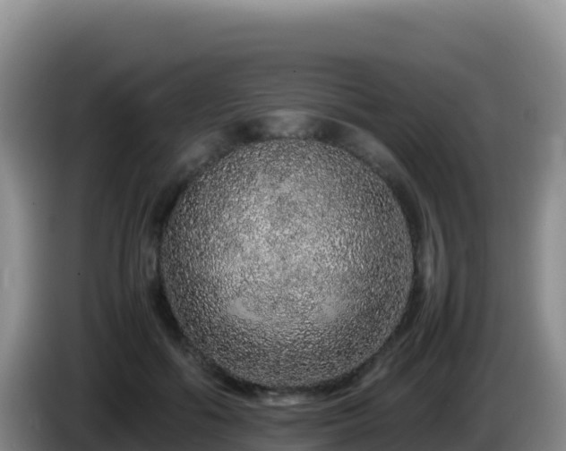 X0000086260602200704051304