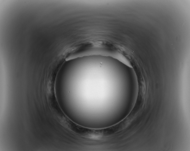 X0000086260604200704051304