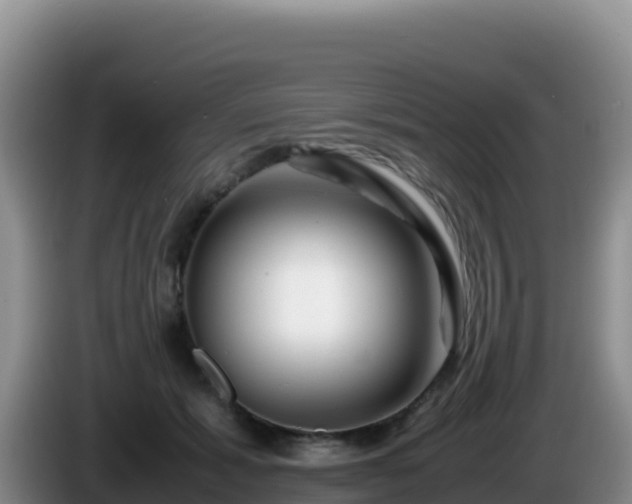 X0000086260605200704051304