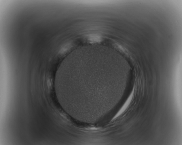 X0000086260608200704051304
