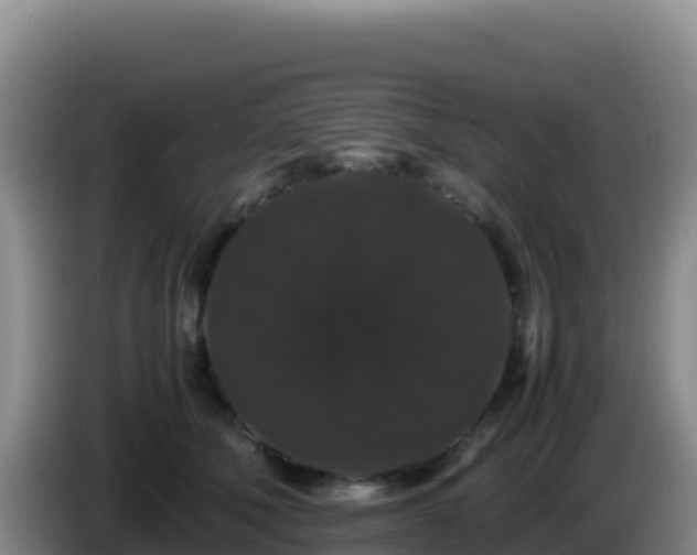 X0000086260610200704051304