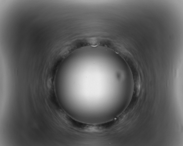 X0000086260611200704051304
