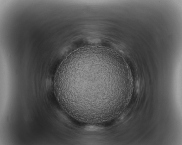 X0000086260614200704051304