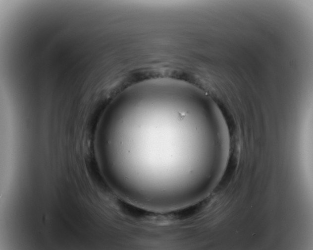 X0000086260615200704051304