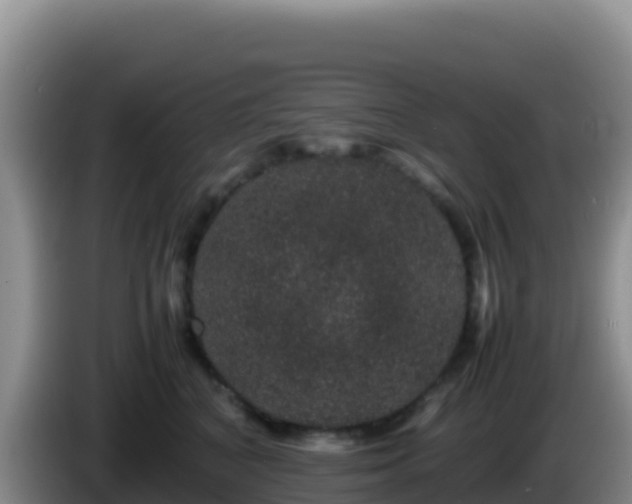 X0000086260616200704051304
