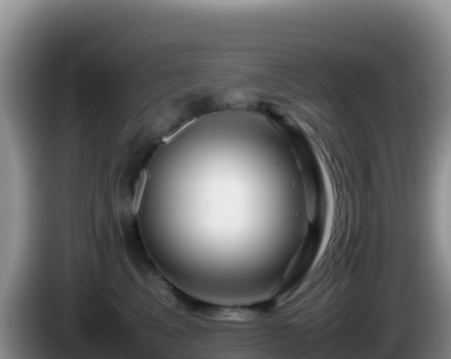 X0000086260617200704051304