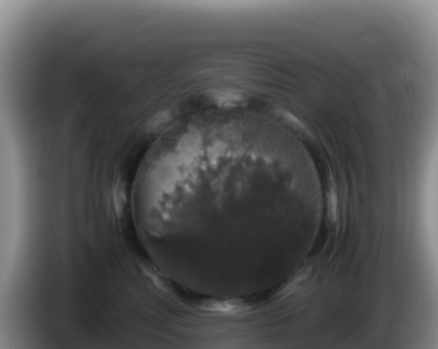 X0000086260618200704051304