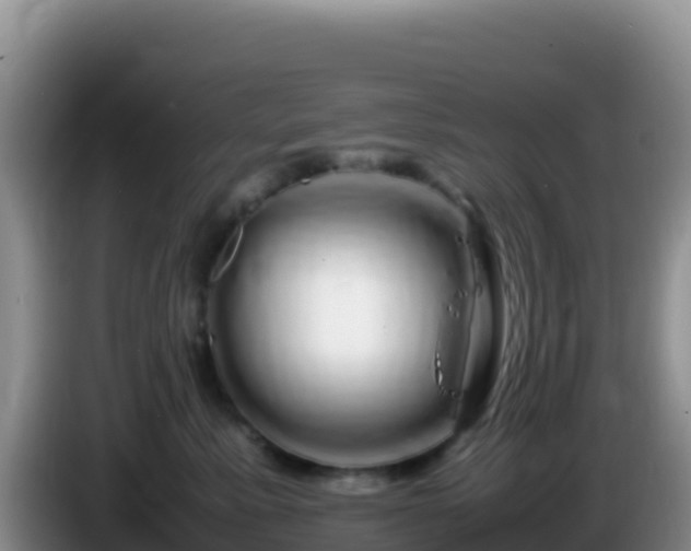 X0000086260619200704051304