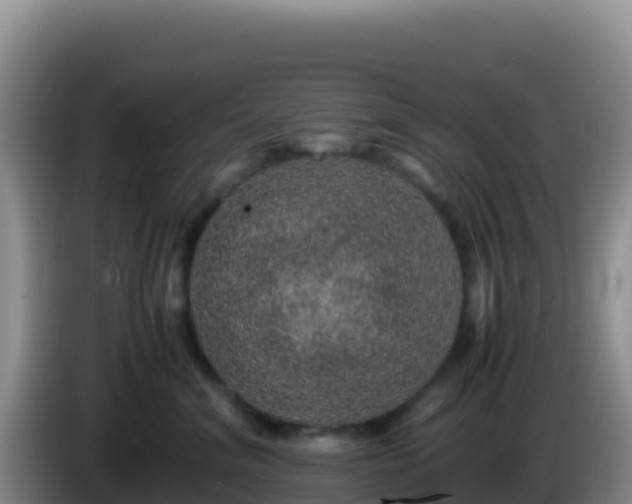 X0000086260620200704051304