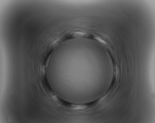 X0000086260621200704051304