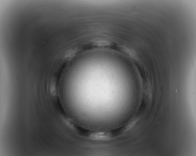 X0000086260622200704051304