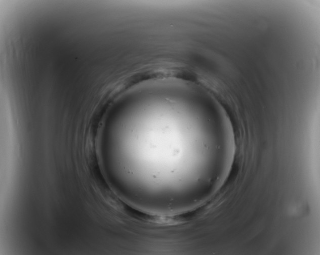 X0000086260623200704051304