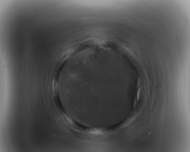 X0000086260624200704051304