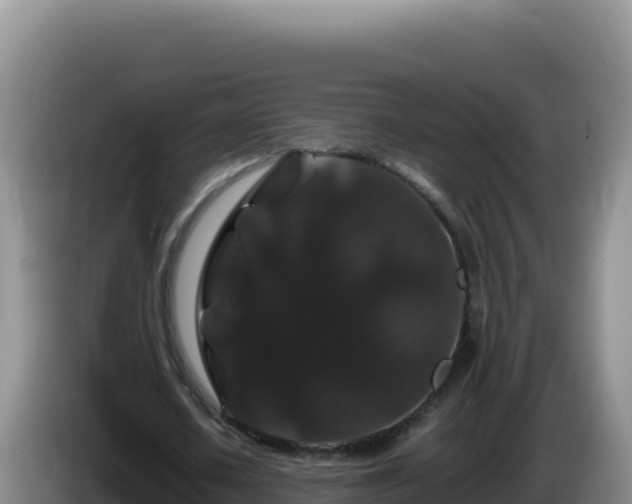 X0000086260626200704051303