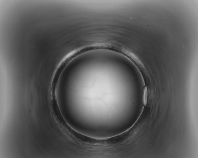 X0000086260628200704051303