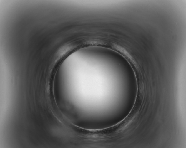 X0000086260629200704051303