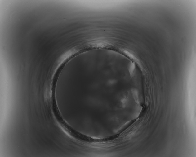 X0000086260630200704051303