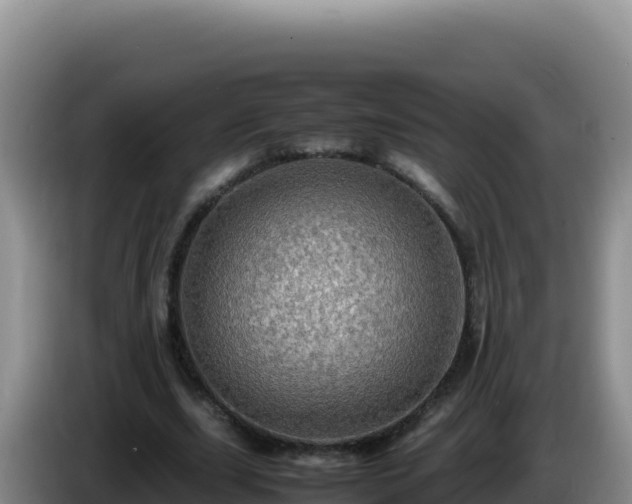 X0000086260631200704051303