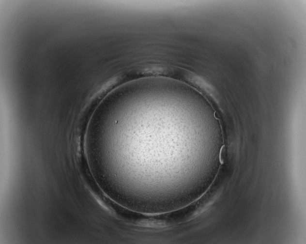 X0000086260633200704051303