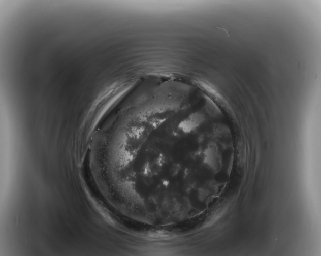 X0000086260634200704051303