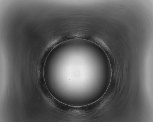X0000086260635200704051303