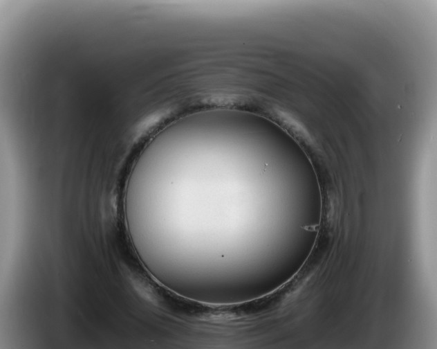 X0000086260636200704051303
