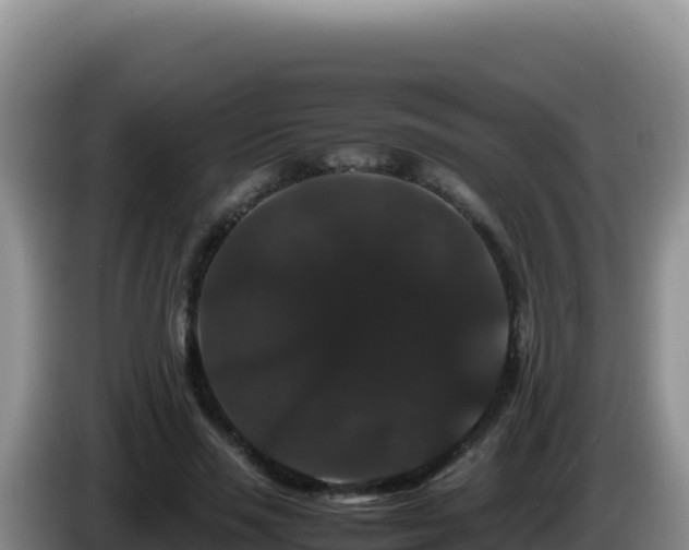 X0000086260637200704051303