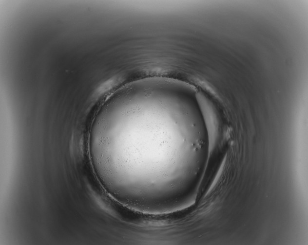 X0000086260638200704051303