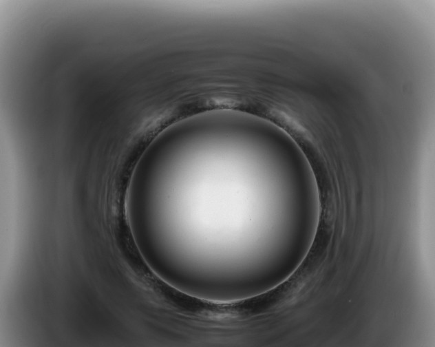 X0000086260639200704051303