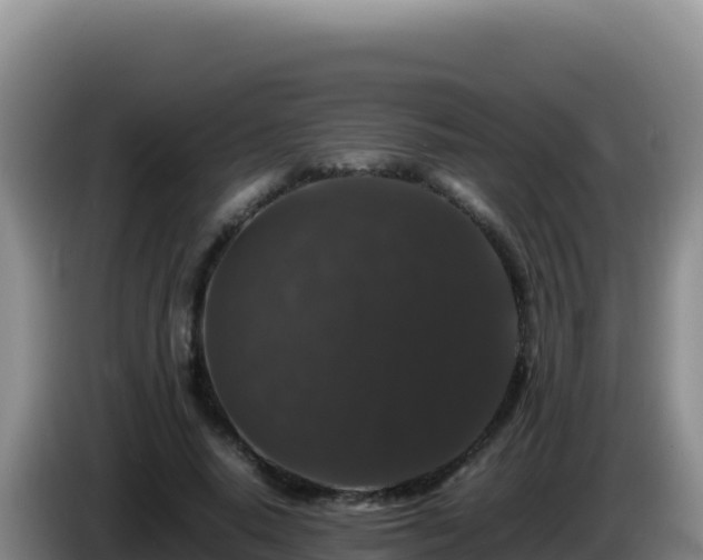 X0000086260640200704051303