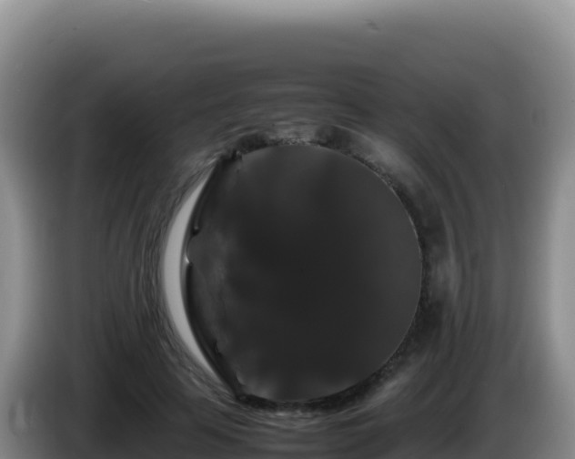 X0000086260641200704051303