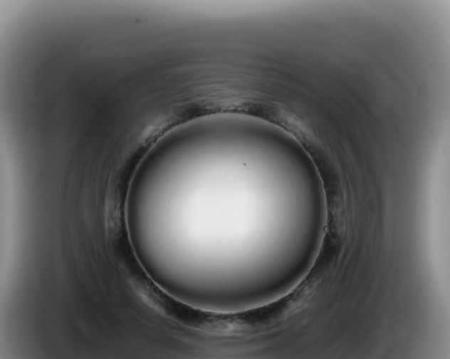 X0000086260642200704051303