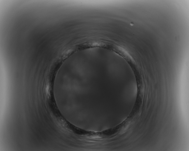 X0000086260643200704051303