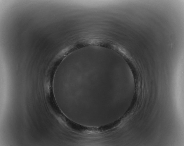 X0000086260644200704051303