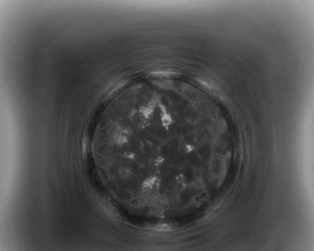 X0000086260647200704051303