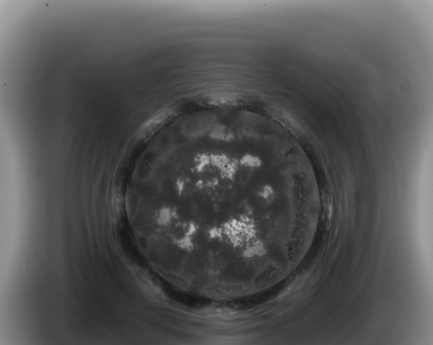 X0000086260648200704051303