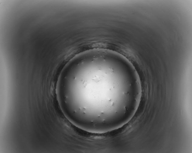 X0000086260649200704051303