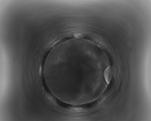 X0000086260650200704051303
