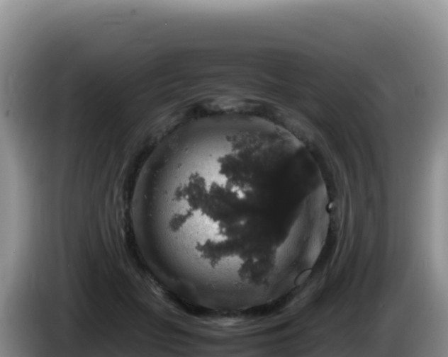 X0000086260653200704051303