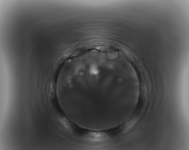 X0000086260654200704051303