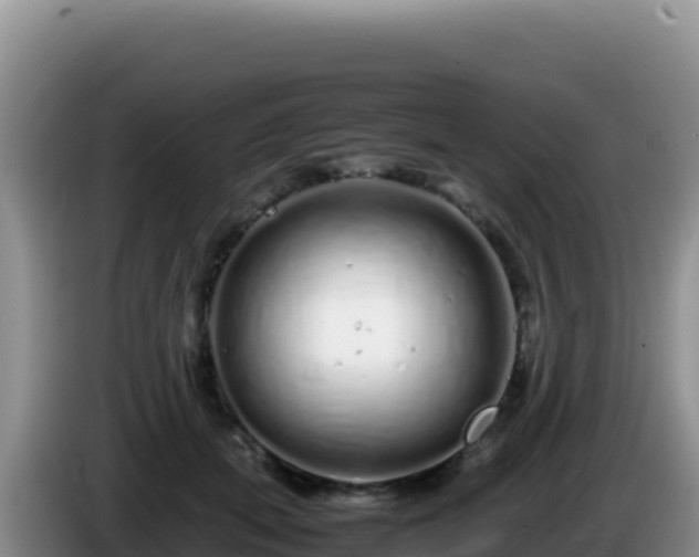 X0000086260655200704051303