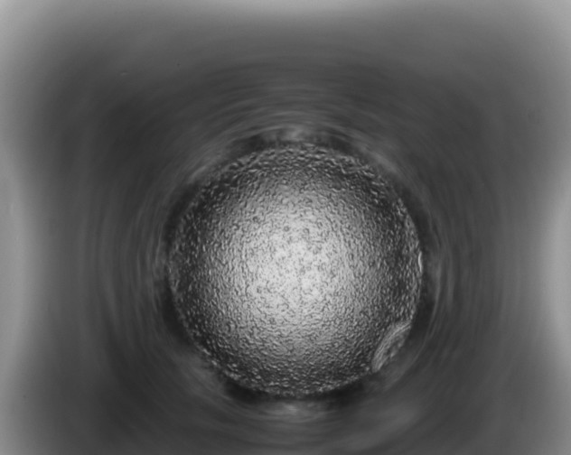 X0000086260657200704051303
