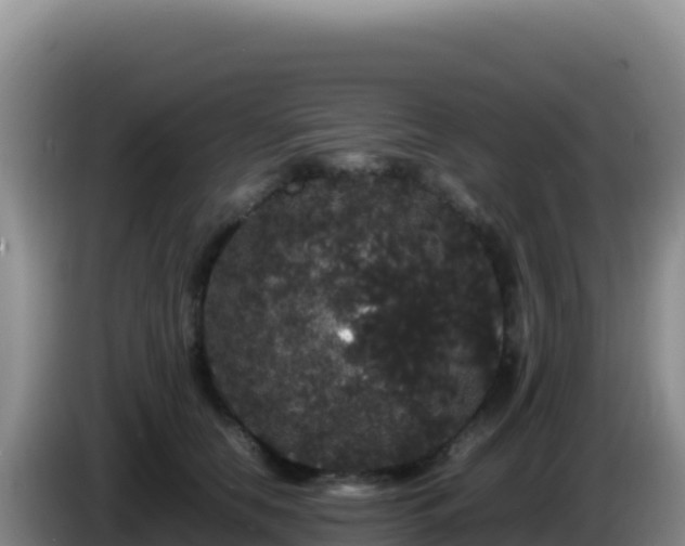 X0000086260658200704051303