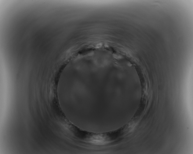 X0000086260659200704051303