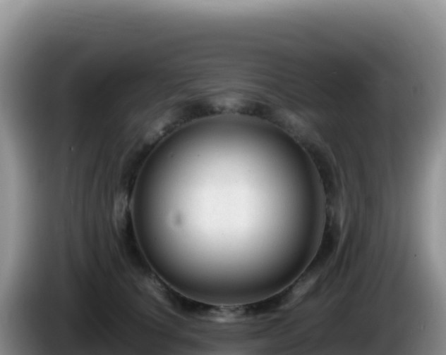 X0000086260660200704051303