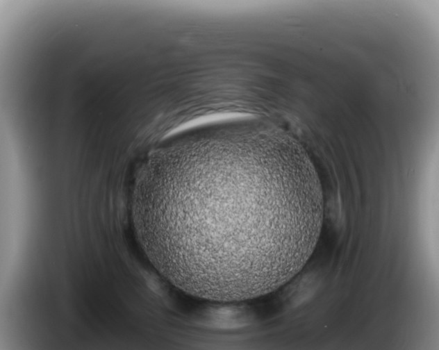 X0000086260662200704051303