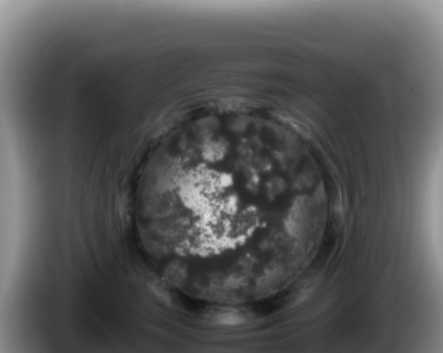 X0000086260663200704051303