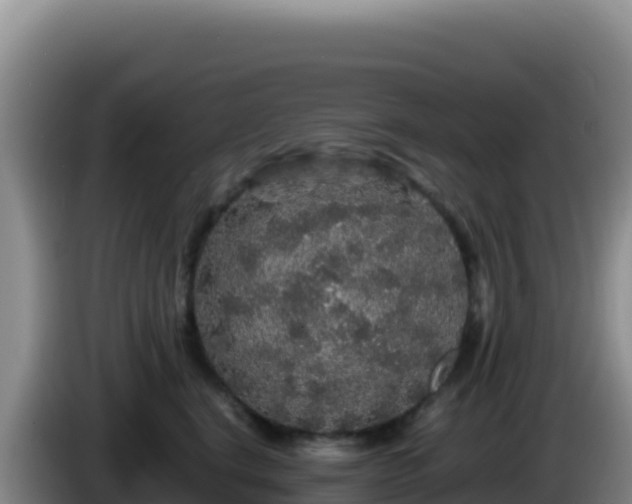 X0000086260664200704051303